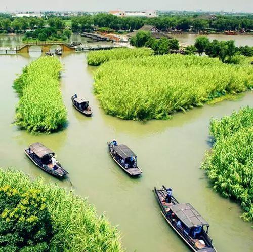 春色莫辜負,常熟兩大景點,沙家浜VS尚湖,哪個更值得一去?