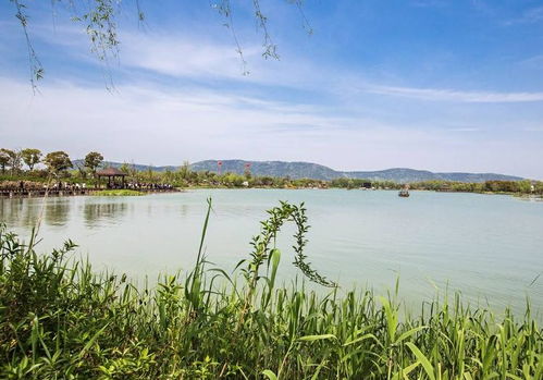 清明出游好去處 全國多景區(qū)免費開放，沙家浜成無錫游客優(yōu)選