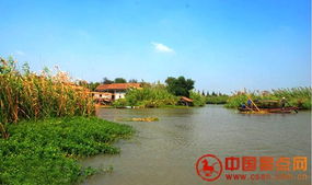 食客推薦5條逍遙覓蟹自駕線 沙家浜旅游