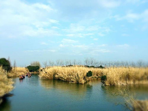 秋游蘇州沙家浜 一場(chǎng)色香味俱全的江南尋味之旅